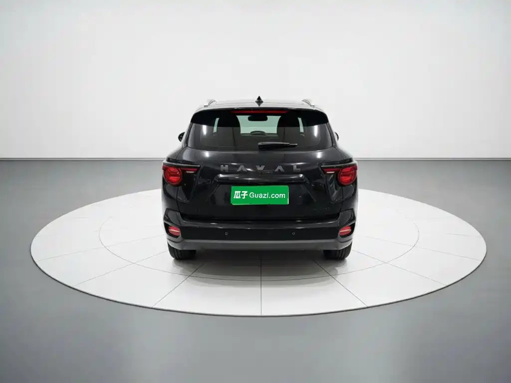 Haval Big Dog PLUS — миниатюра 3