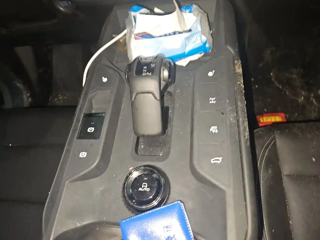Haval Big Dog PLUS — миниатюра 10