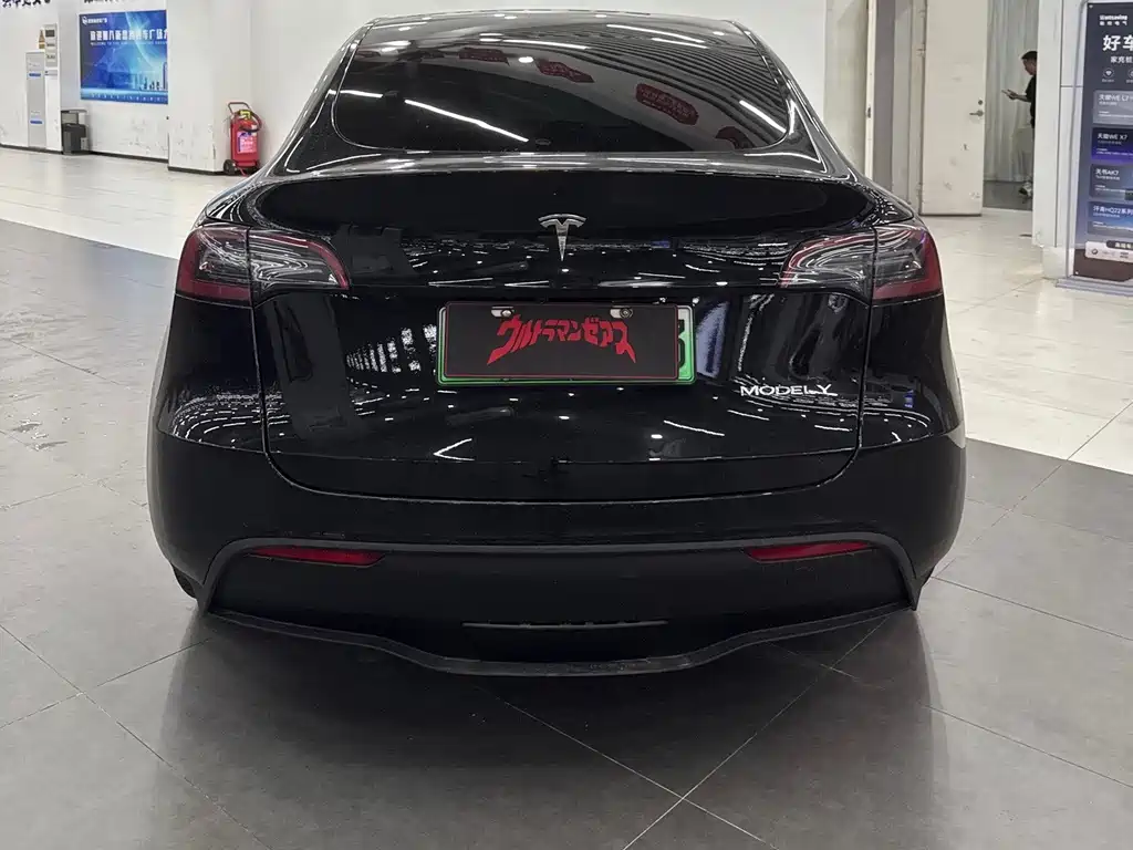 Tesla Model Y — миниатюра 4