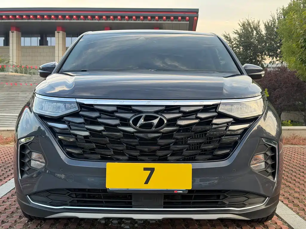 Hyundai Custo — миниатюра 2