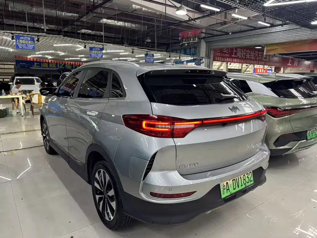 WM Motor EX5 — миниатюра 10