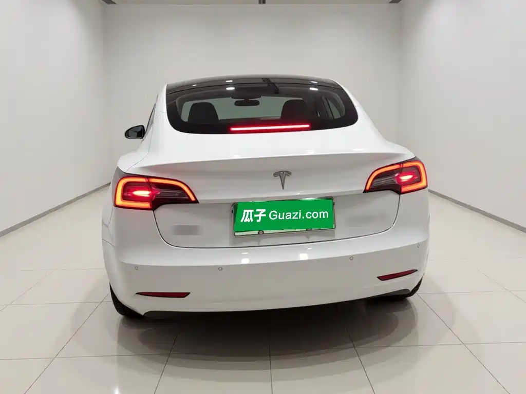 Tesla Model 3 — миниатюра 3