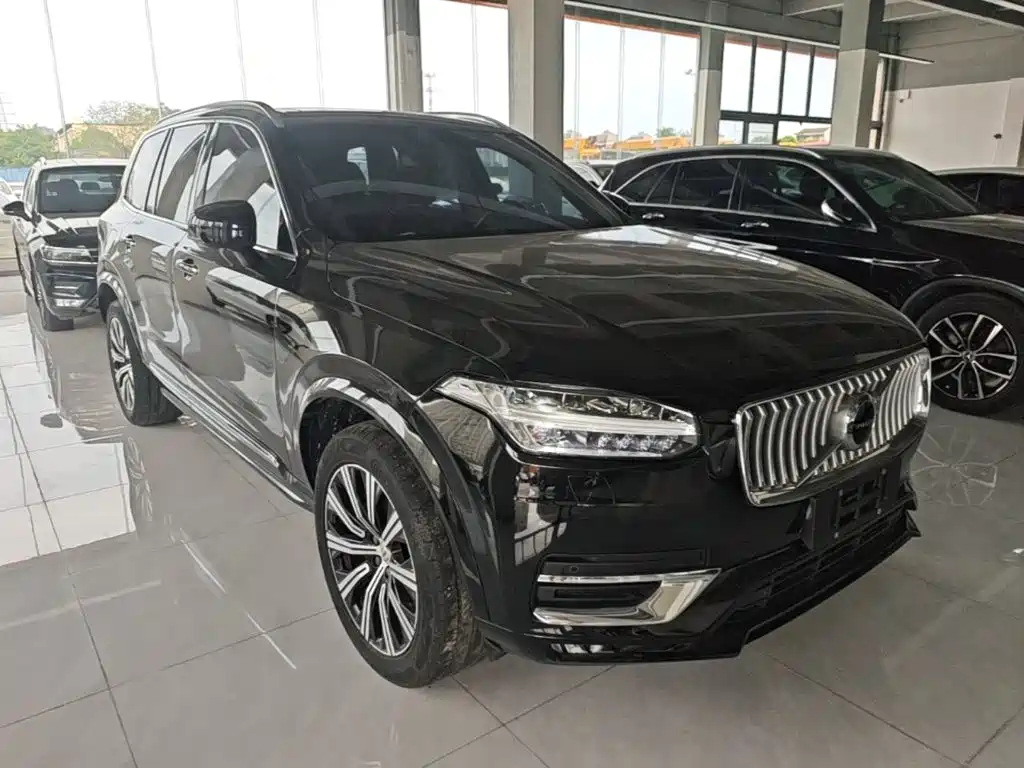 Volvo XC90 — миниатюра 4