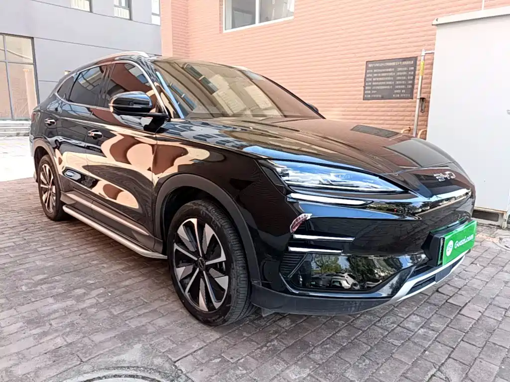 BYD PLUS New Energy — миниатюра 4