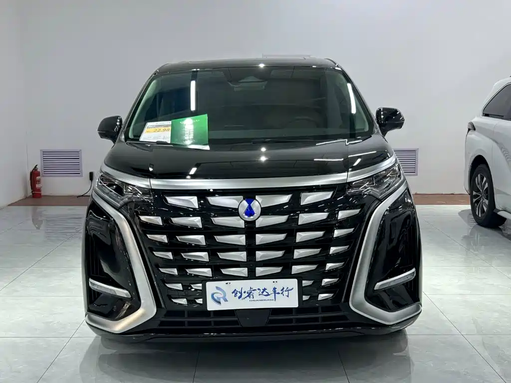 Denza Denza D9 — миниатюра 9