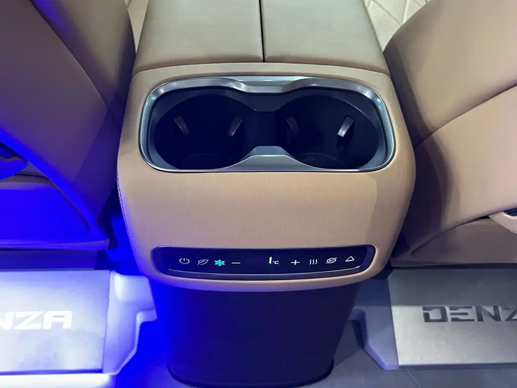 Denza Denza D9 — миниатюра 15
