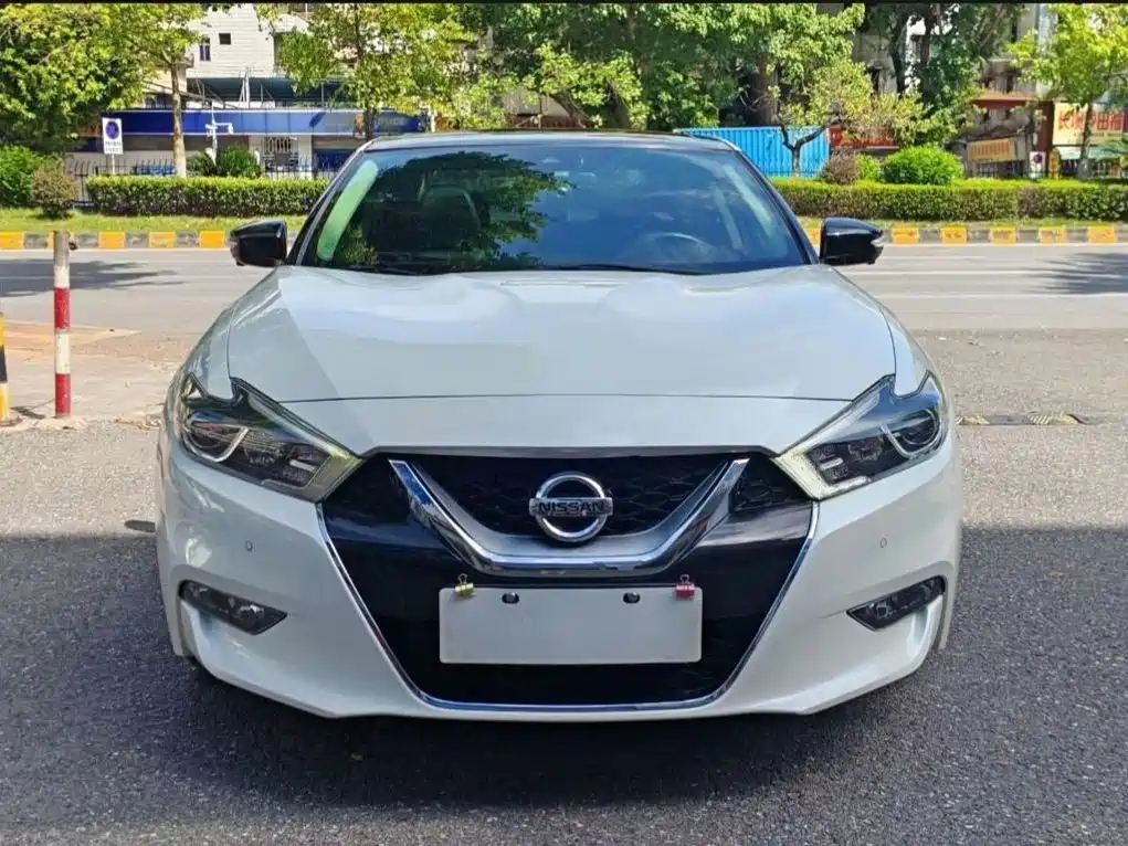 Nissan Cima — миниатюра 3