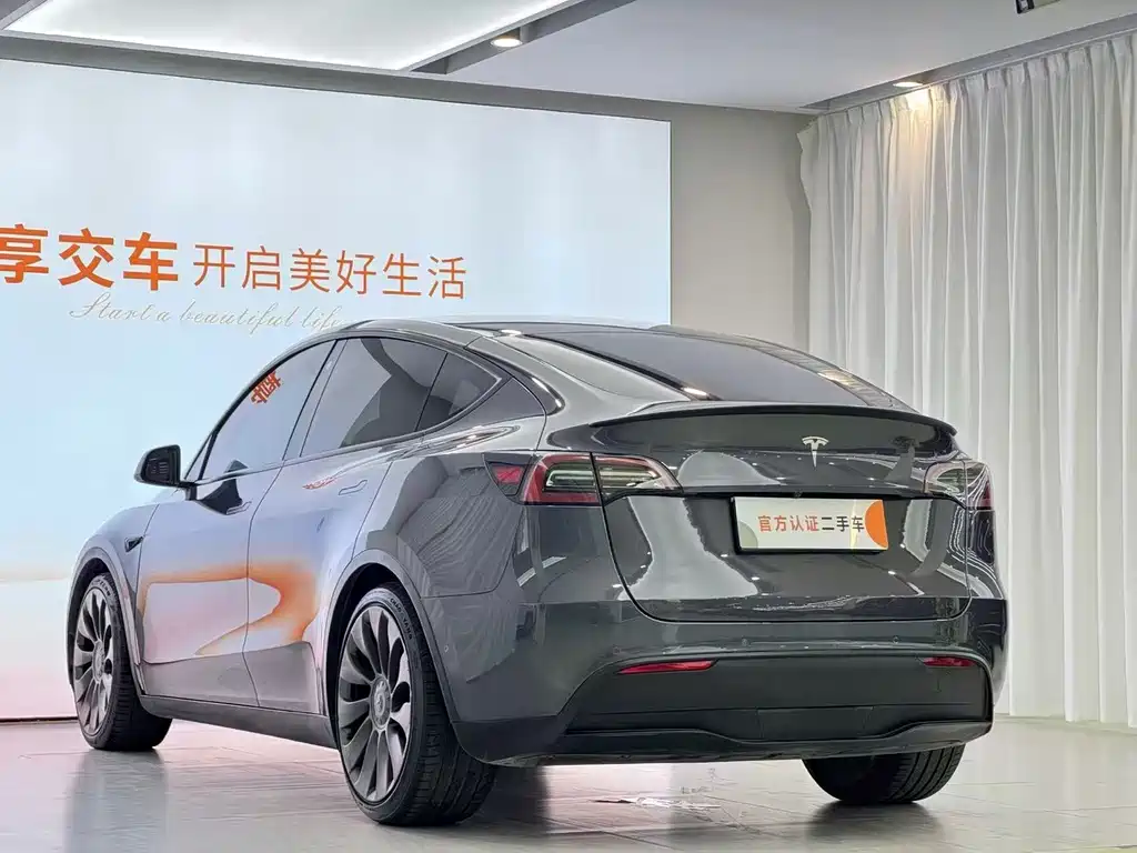 Tesla Model Y — миниатюра 9