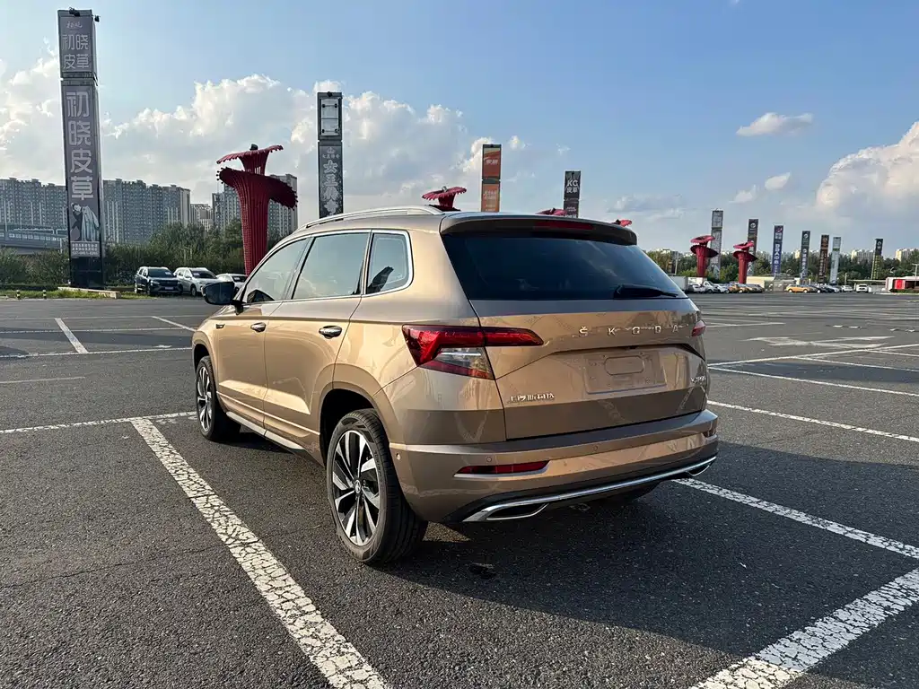 Skoda Karoq — миниатюра 8