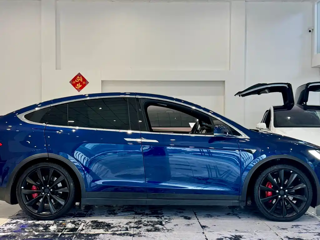 Tesla Model X — миниатюра 10