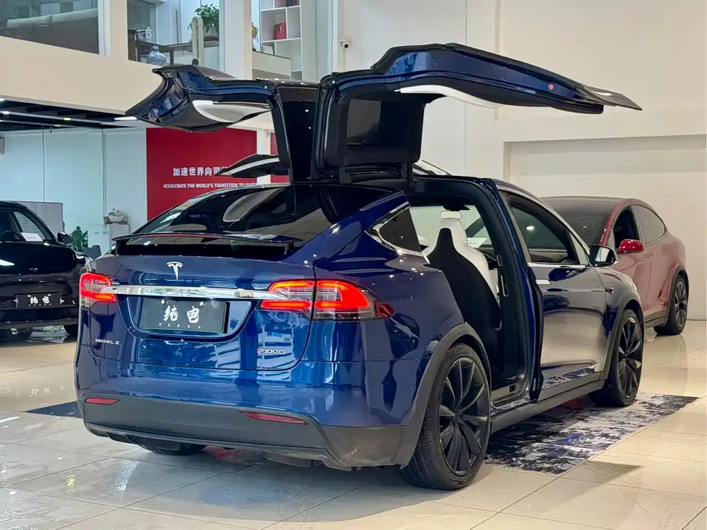 Tesla Model X — миниатюра 15