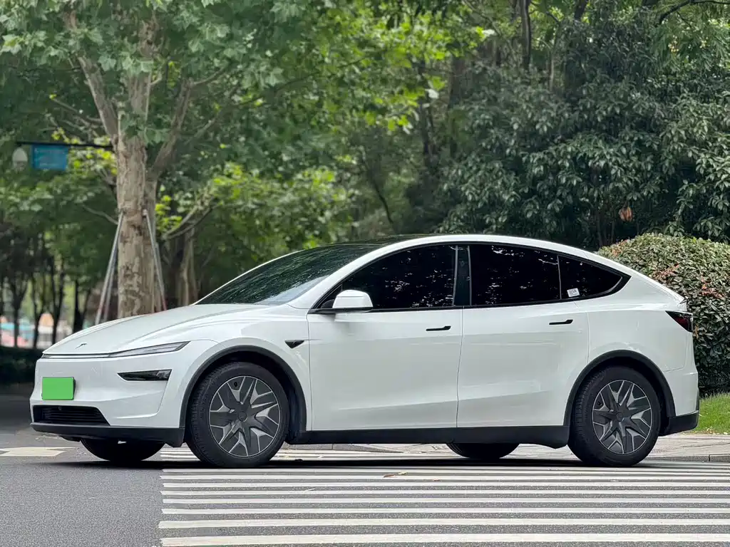 Tesla Model Y L