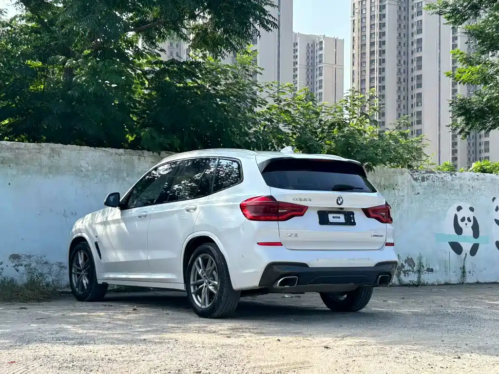 BMW X3 — миниатюра 7