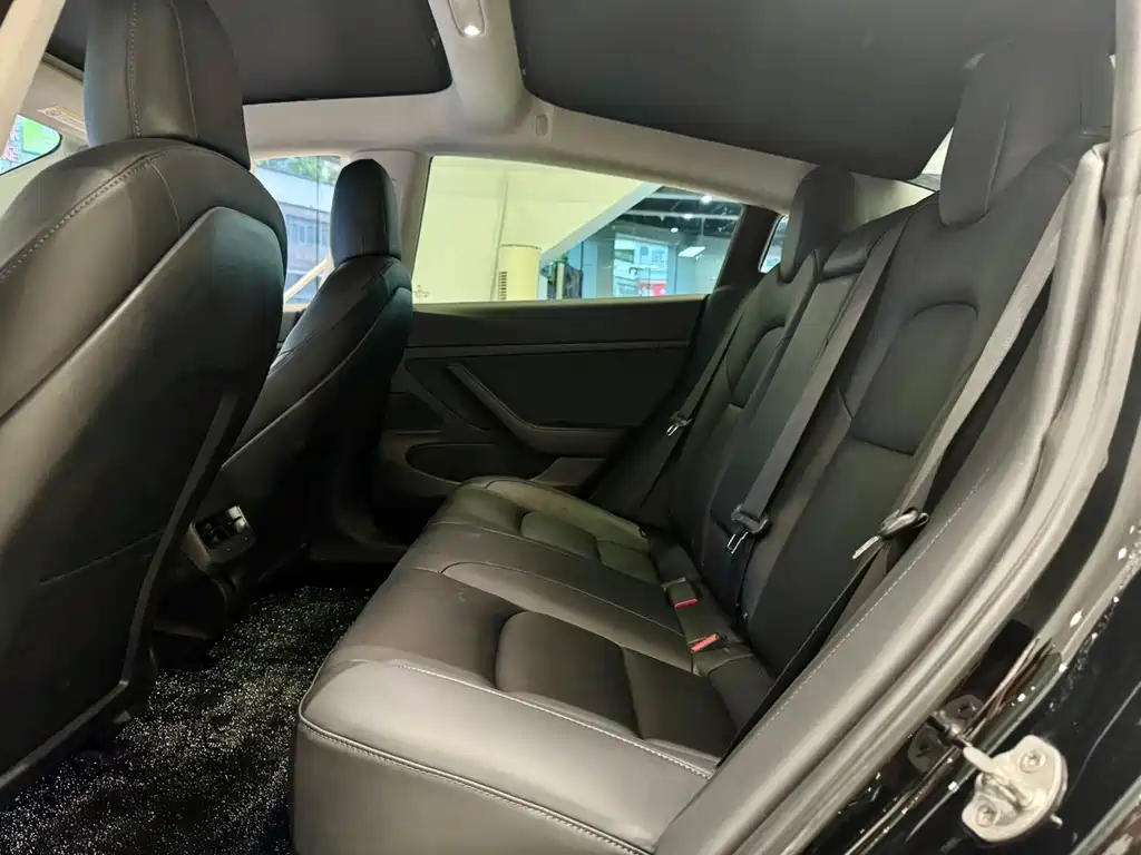 Tesla Model 3 — миниатюра 6
