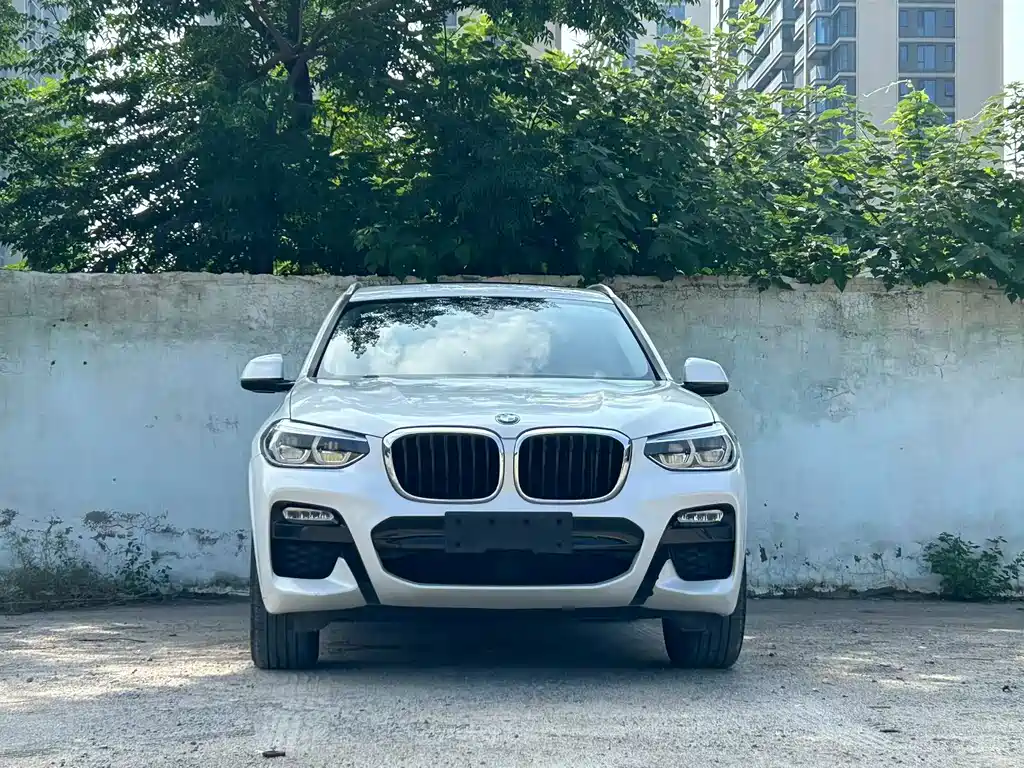 BMW X3 — миниатюра 2