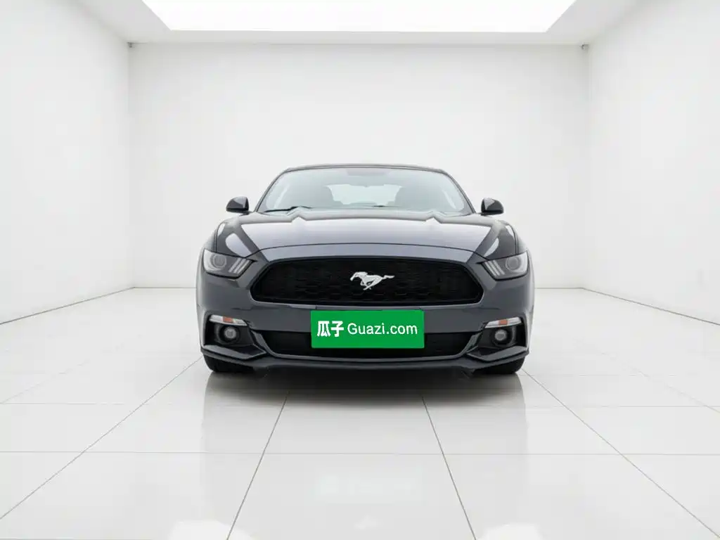 Ford Mustang — миниатюра 23