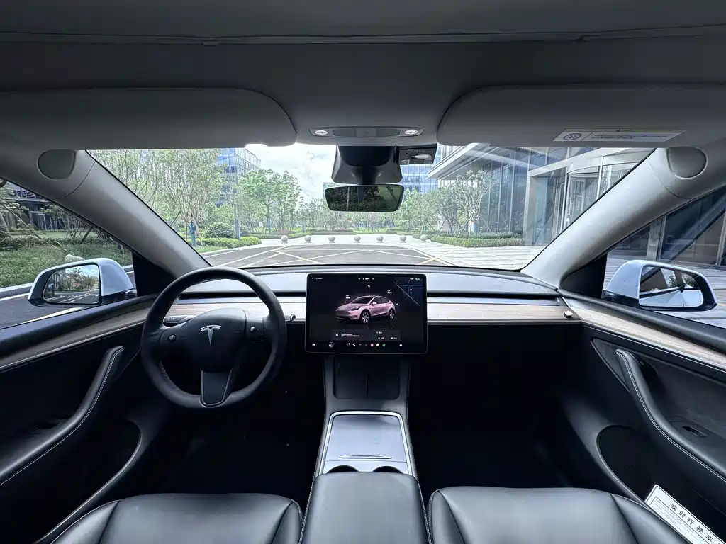 Tesla Model Y — миниатюра 4
