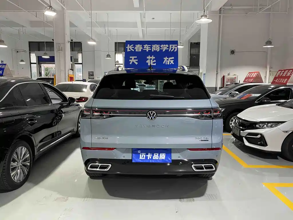 Volkswagen Tavendor — миниатюра 13