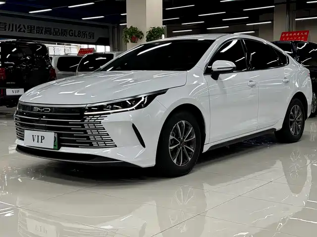 2024 BYD Destroyer