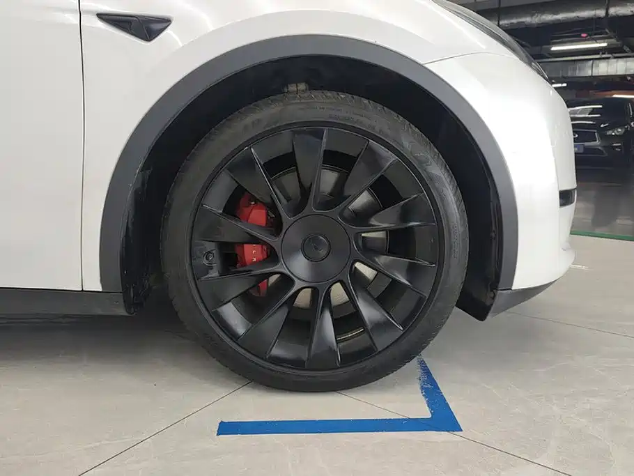 Tesla Model Y — миниатюра 6