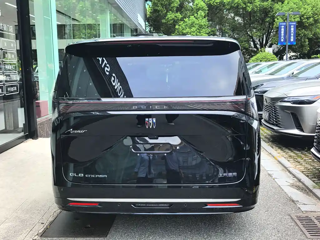Buick Electra Encasa — миниатюра 8