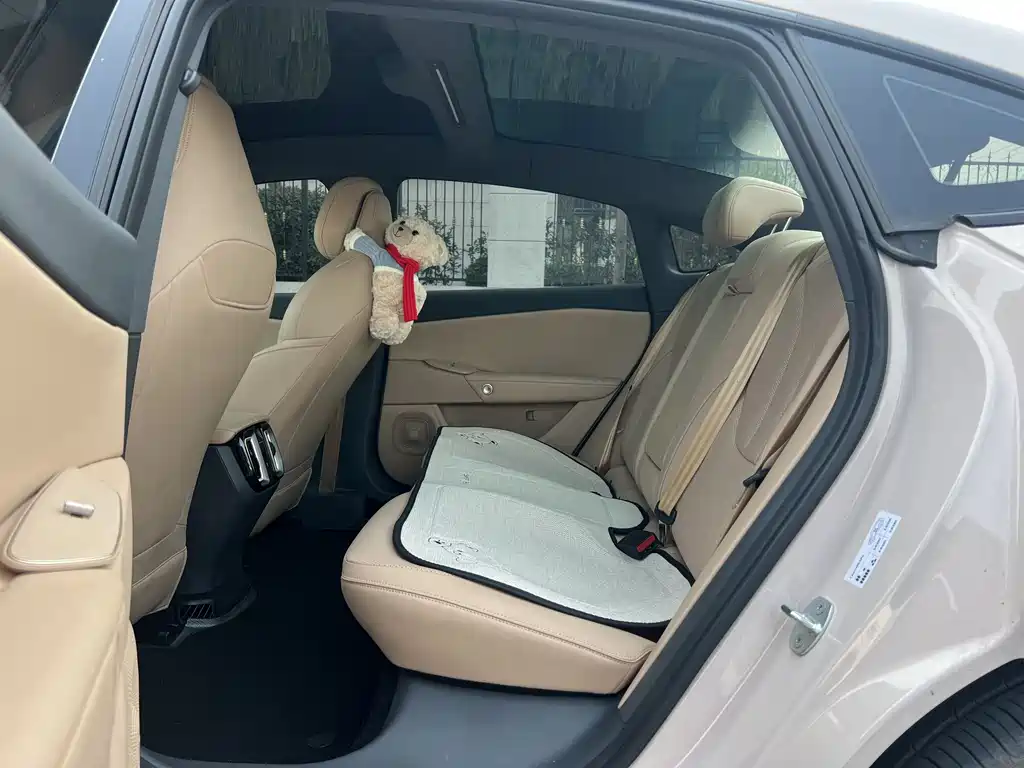 ARCFOX EXTREME FOX POLAR FOX ALPHA S5