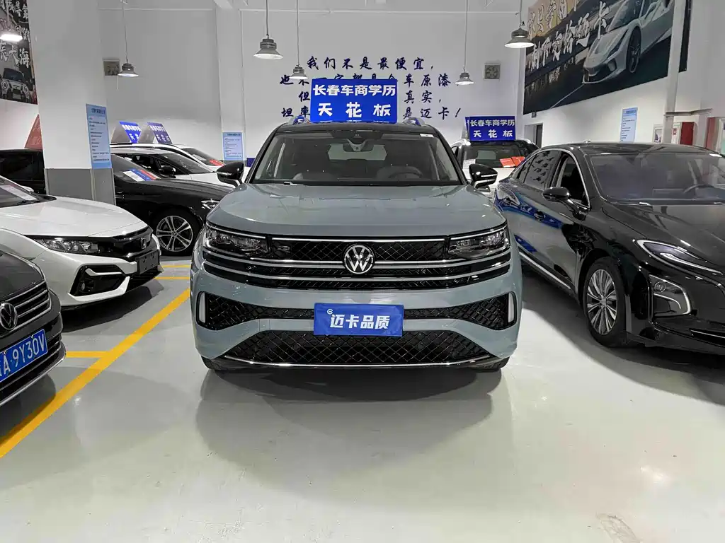 Volkswagen Tavendor — миниатюра 2