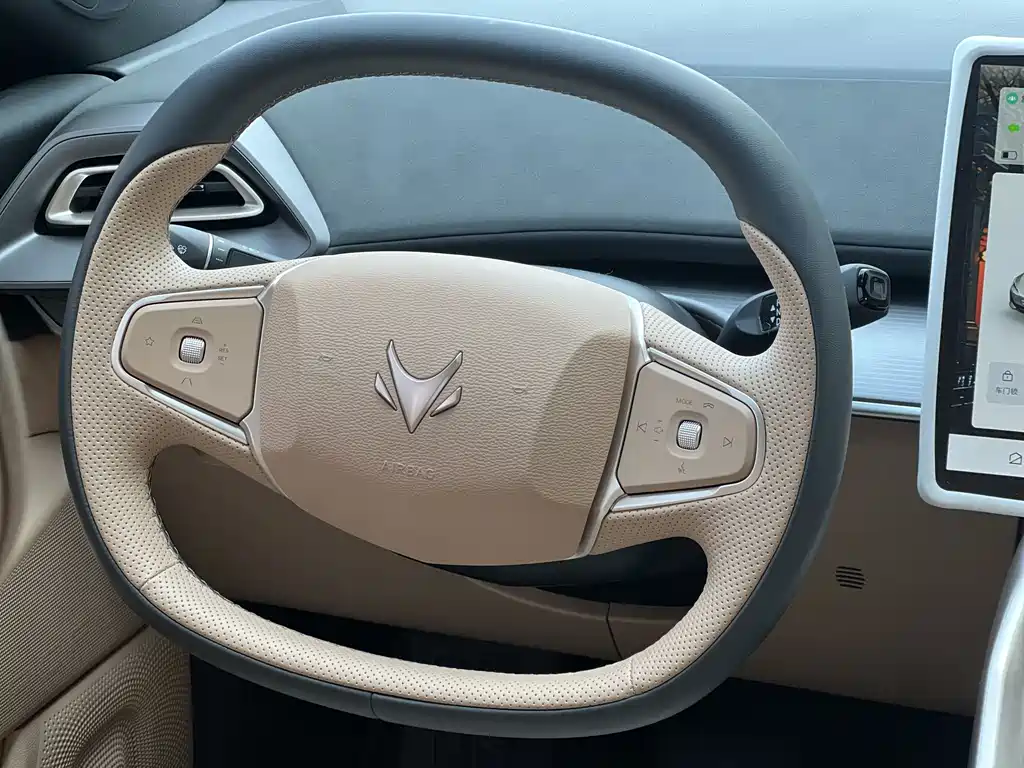 ARCFOX EXTREME FOX POLAR FOX ALPHA S5