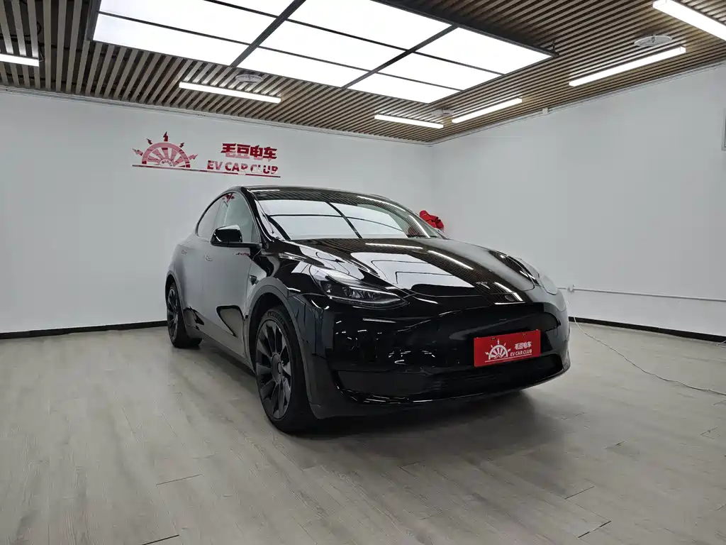 Tesla Model Y — миниатюра 2