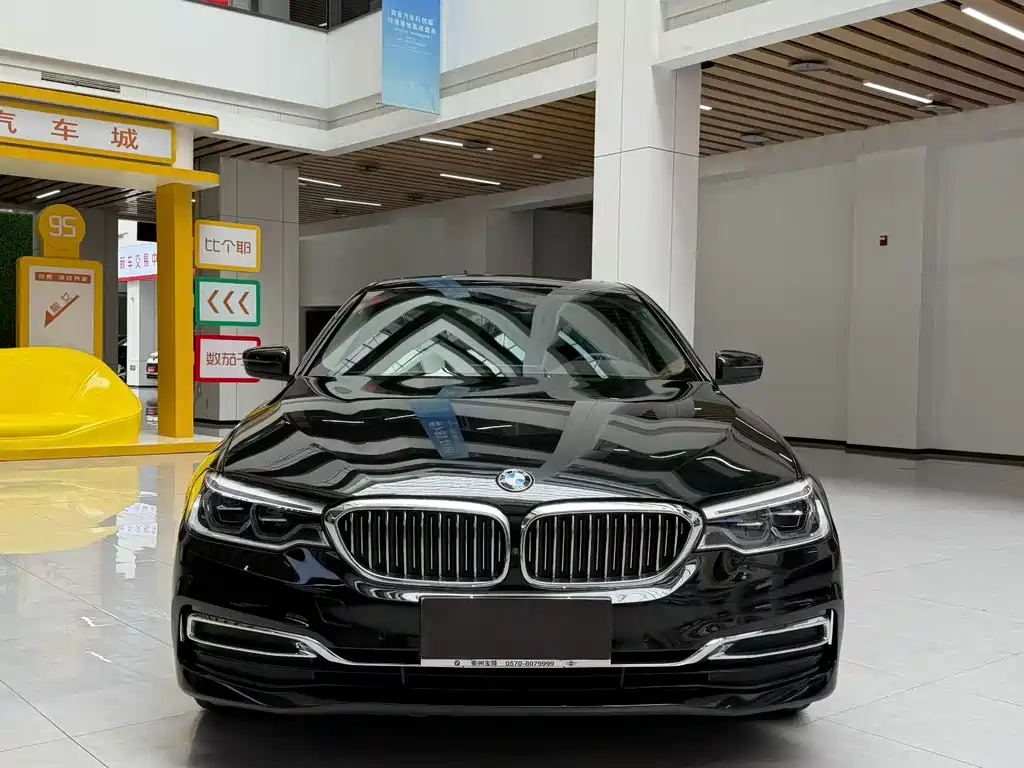 BMW 5 Series 5 2020 530Li Premium Luxury