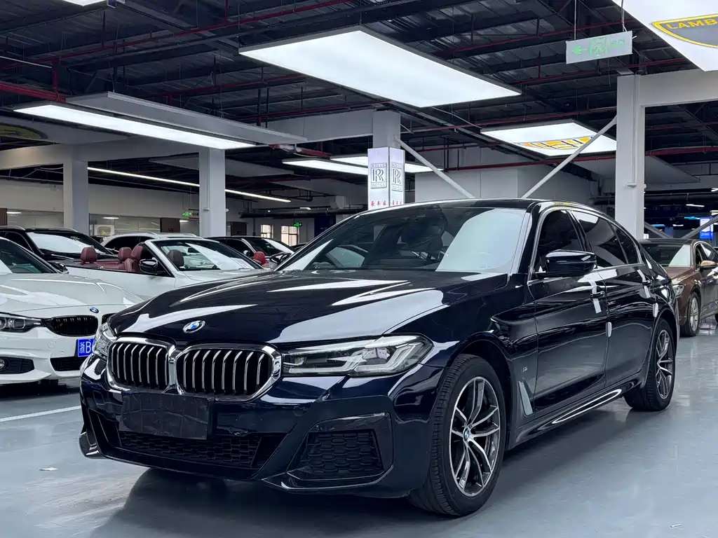 BMW 5 Series 2021