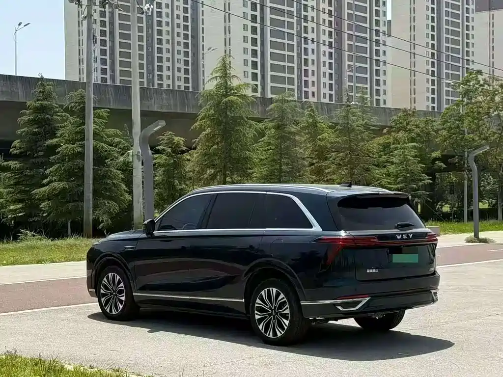 Wey Wey Lanshan — миниатюра 9