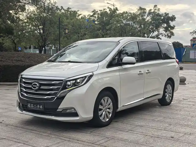 2020 GAC GN8