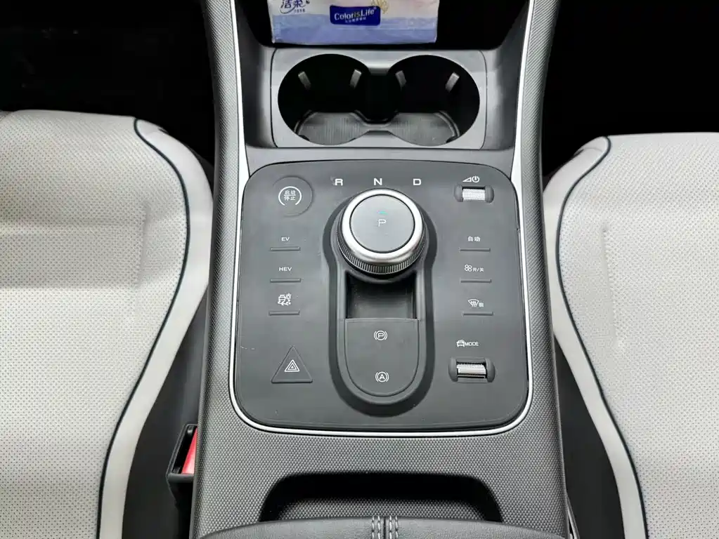 BYD Destroyer 05 2024 DM-i 55KM Luxury