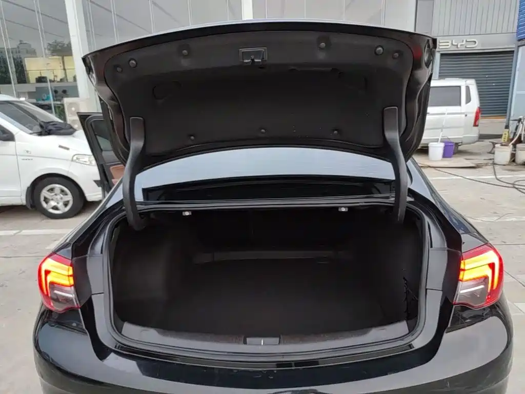 Buick Regal — миниатюра 19