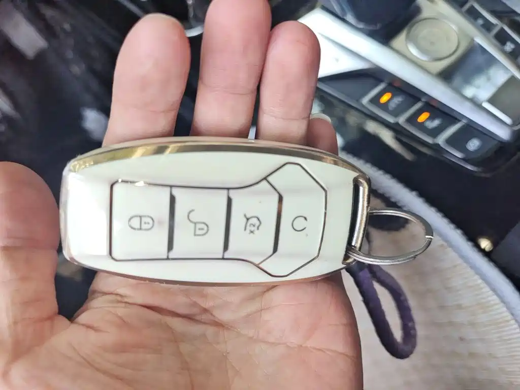 BYD Pro — миниатюра 9