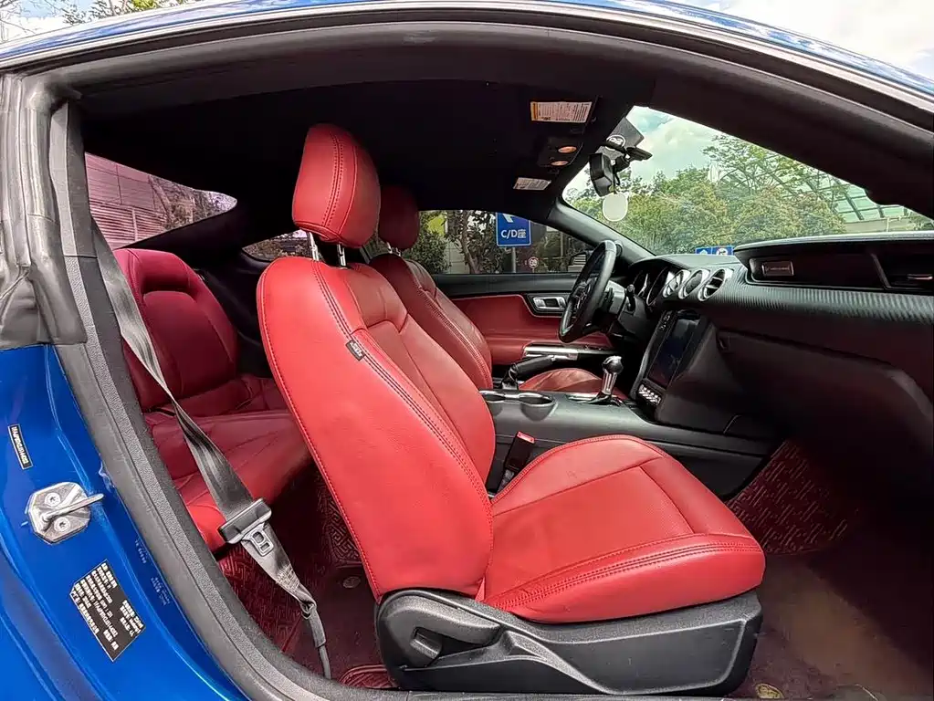 Ford Mustang — миниатюра 11