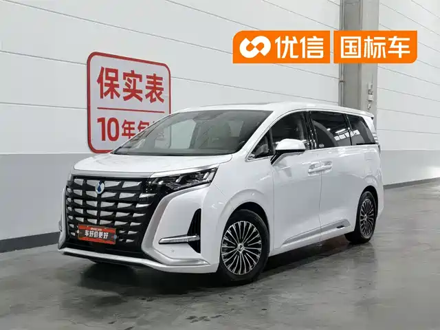 2023 Denza D9