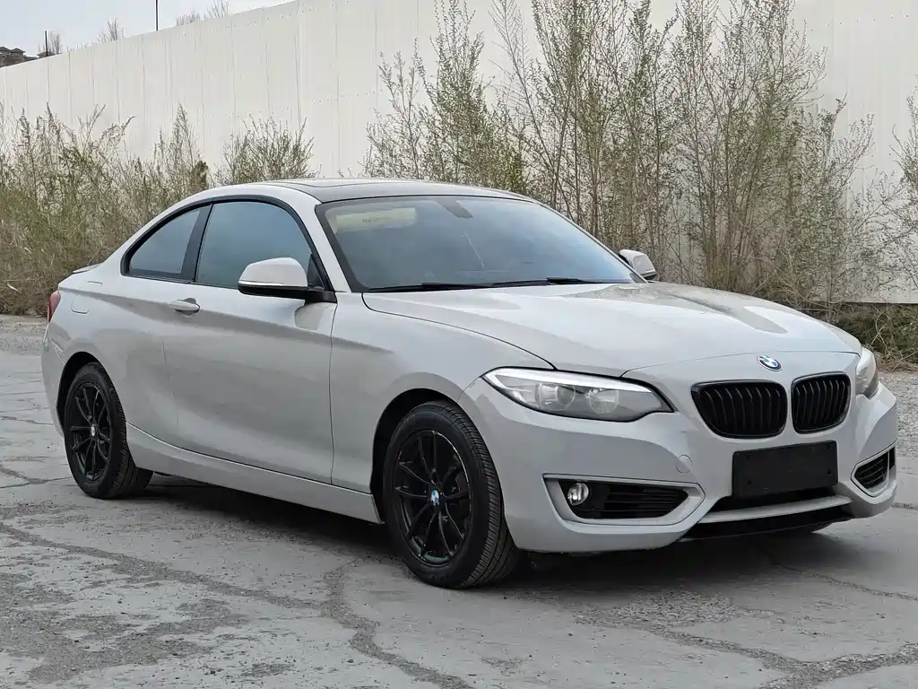 BMW 2 Series 2 2015 218i