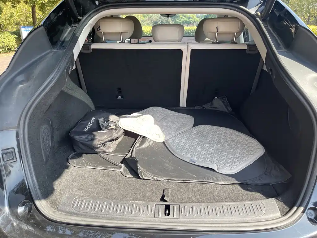 ZHIJI AUTOMOBILE ZHIJI LS6