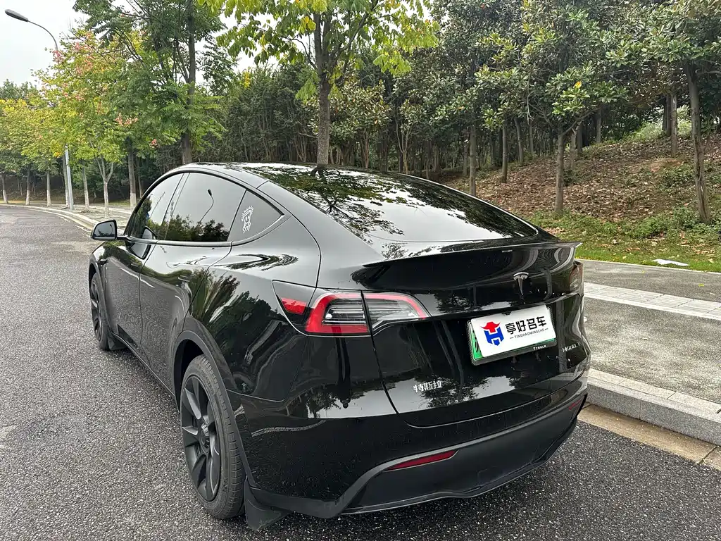 Tesla Model Y — миниатюра 13