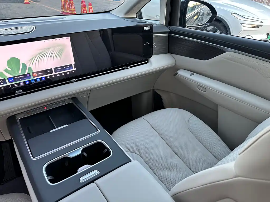 Buick Electra Encasa — миниатюра 17