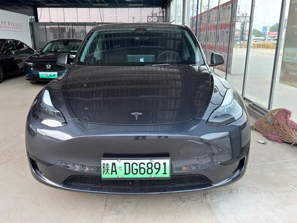 Tesla Model Y — миниатюра 2