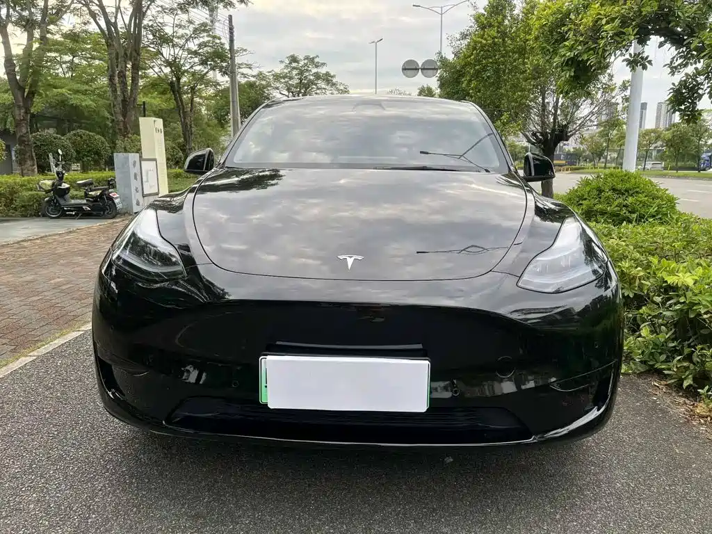Tesla Model Y — миниатюра 2