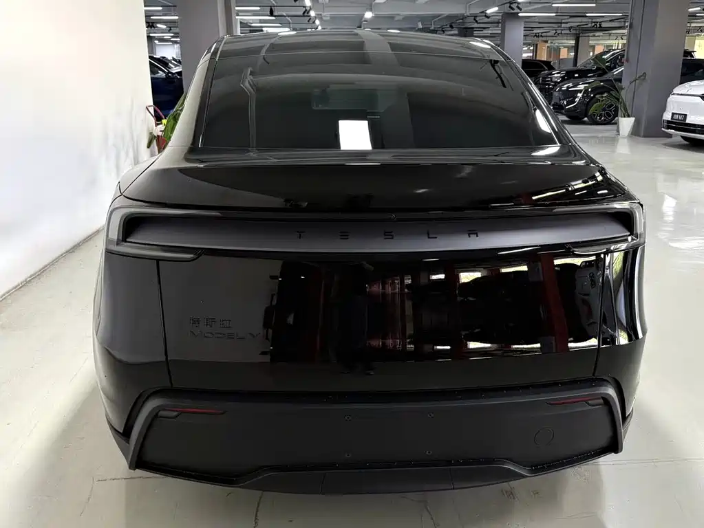 Tesla Model Y — миниатюра 6