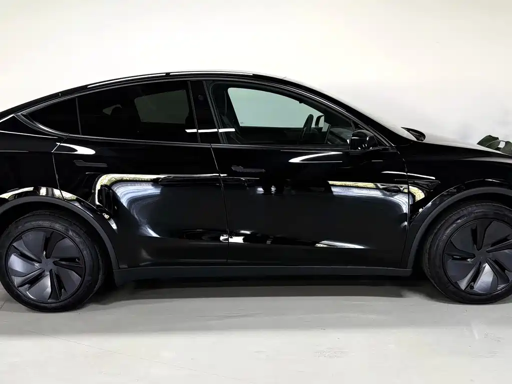 Tesla Model Y — миниатюра 3