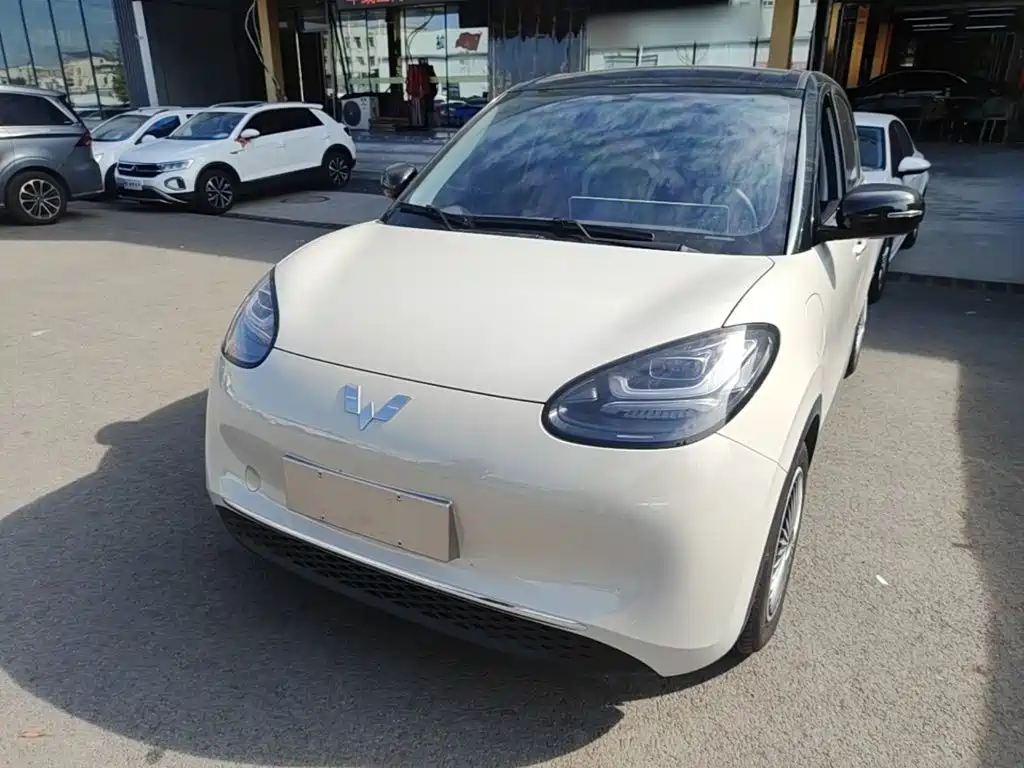 Wuling Binguo