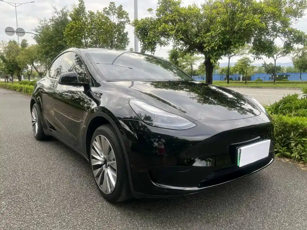 Tesla Model Y — миниатюра 3