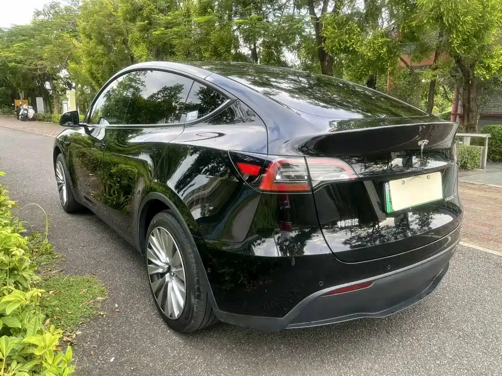 Tesla Model Y — миниатюра 9