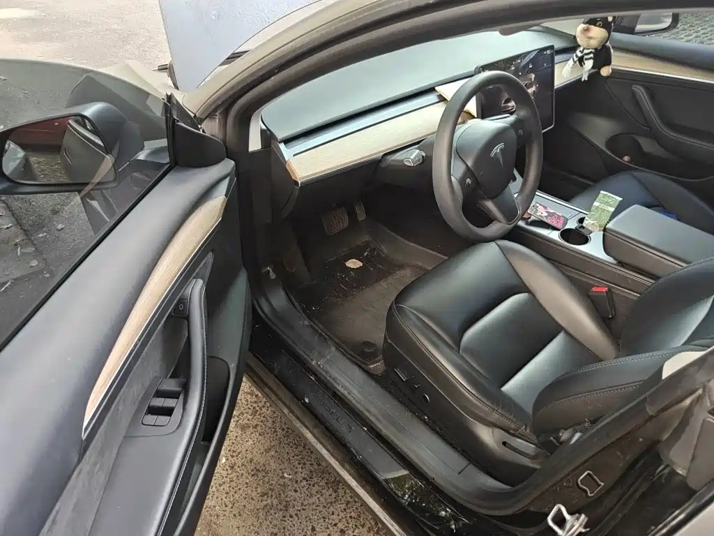Tesla Model 3 — миниатюра 17